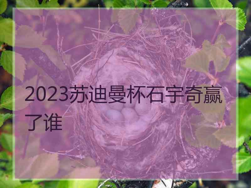 2023苏迪曼杯石宇奇赢了谁