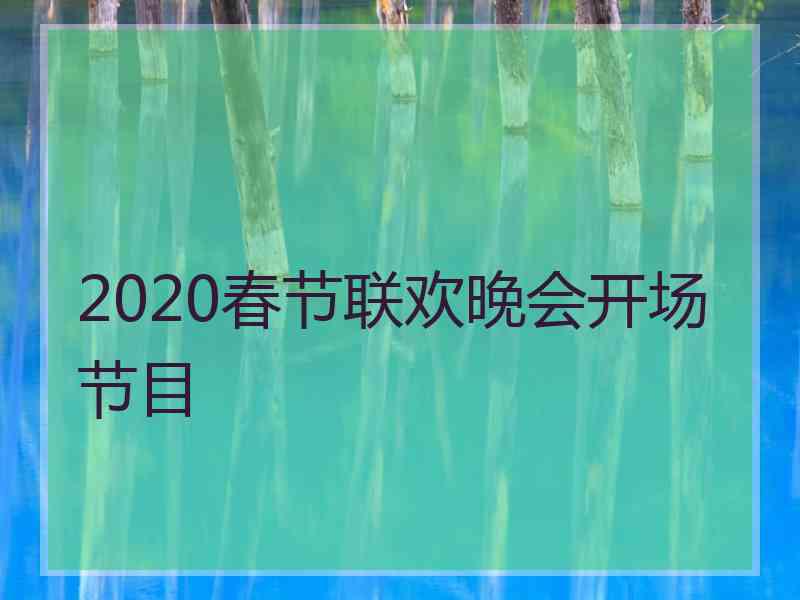 2020春节联欢晚会开场节目