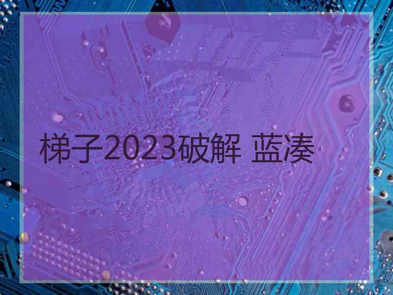 梯子2023破解 蓝凑