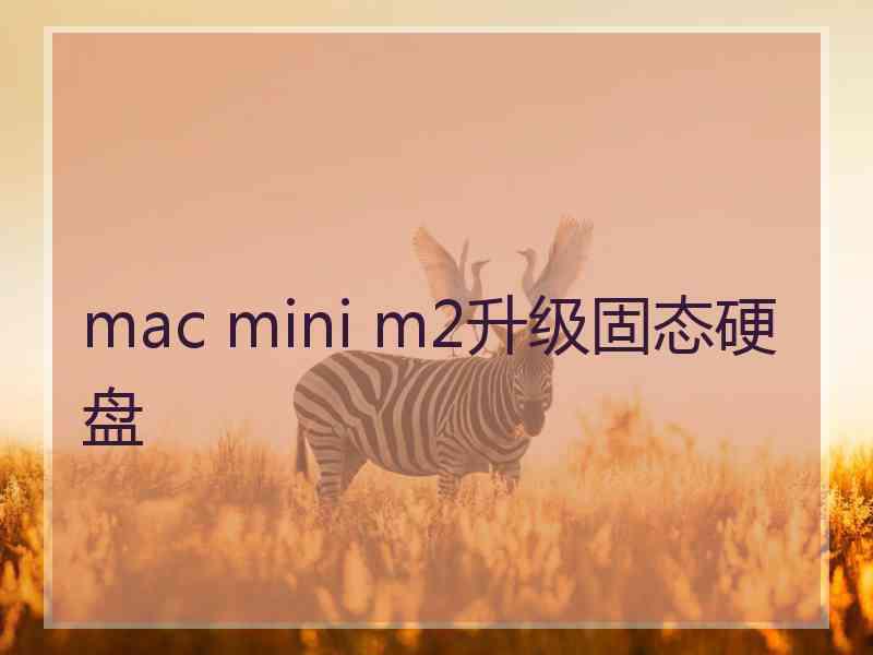 mac mini m2升级固态硬盘