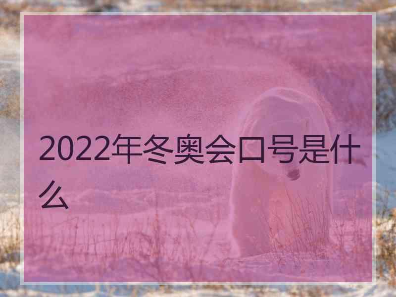 2022年冬奥会口号是什么