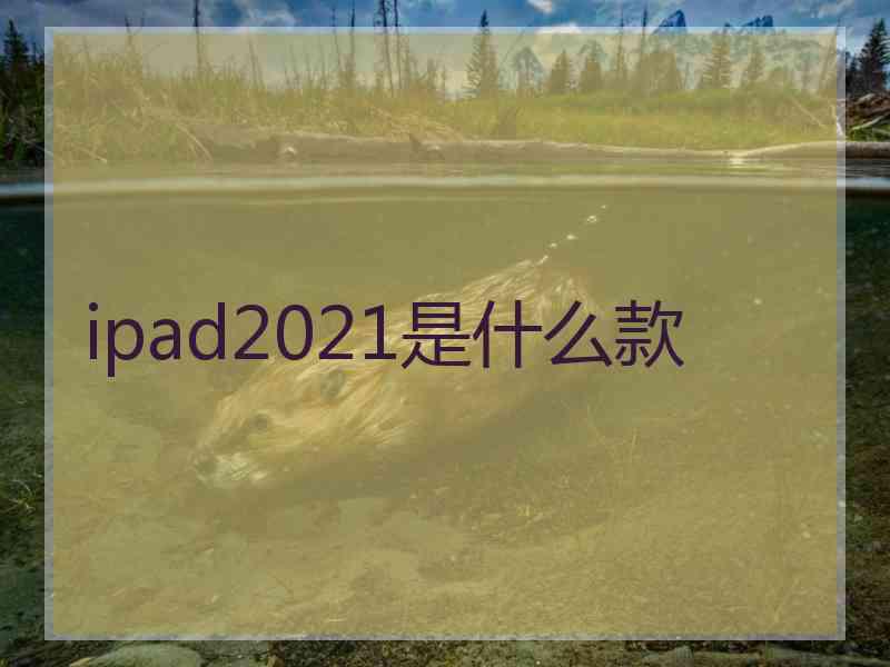 ipad2021是什么款