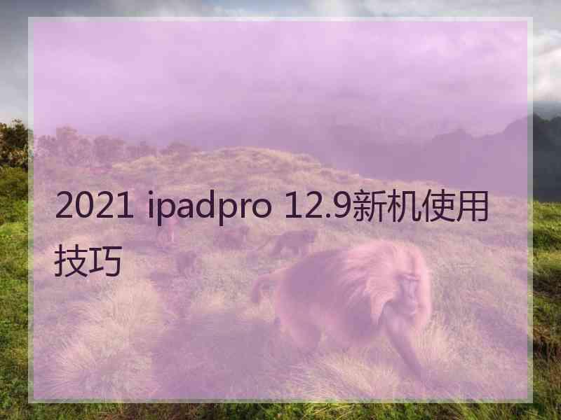 2021 ipadpro 12.9新机使用技巧