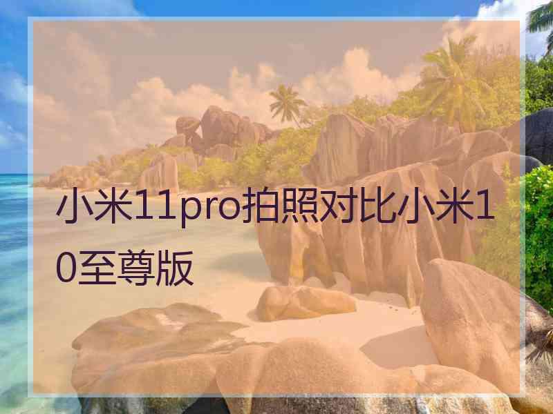 小米11pro拍照对比小米10至尊版