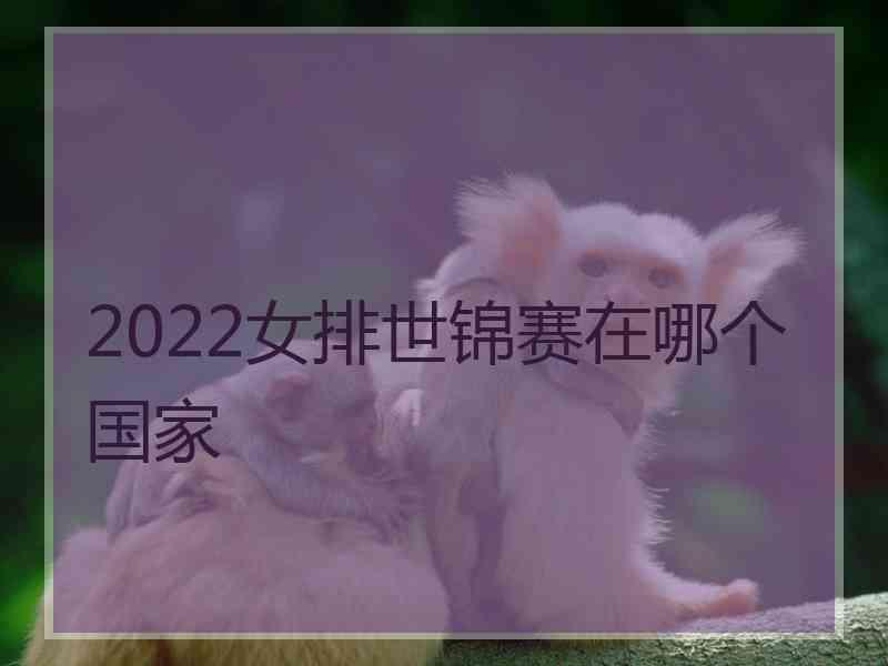 2022女排世锦赛在哪个国家