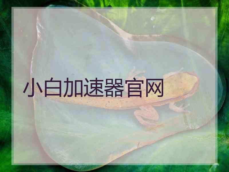 小白加速器官网