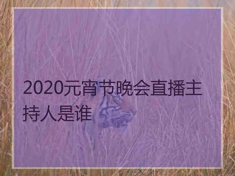 2020元宵节晚会直播主持人是谁