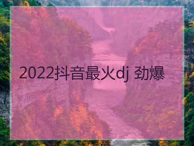 2022抖音最火dj 劲爆