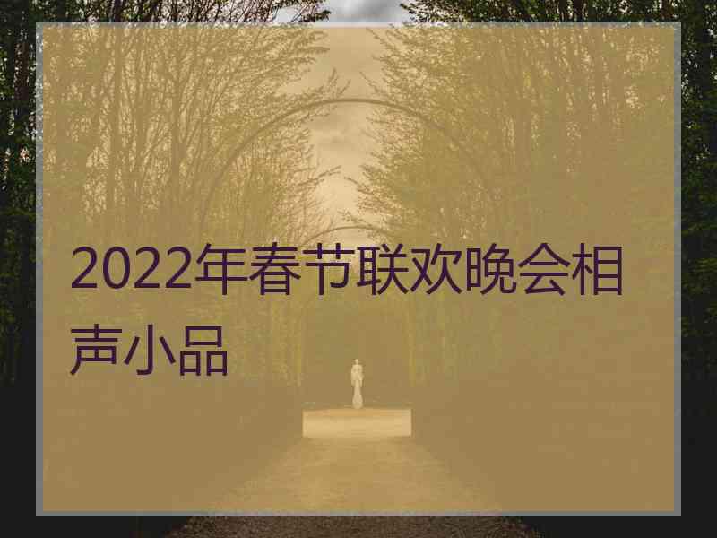 2022年春节联欢晚会相声小品