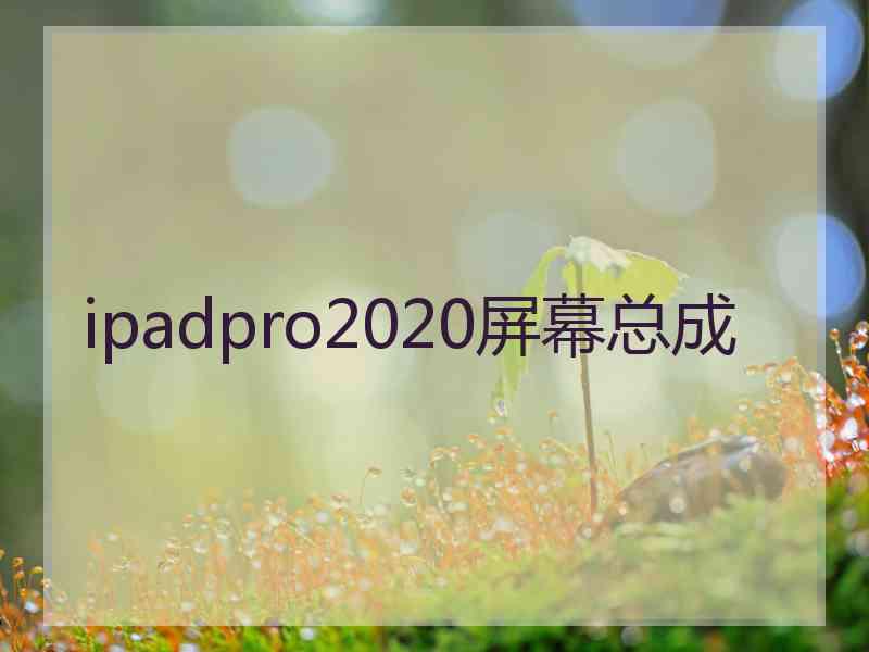 ipadpro2020屏幕总成