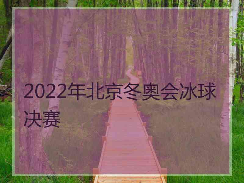 2022年北京冬奥会冰球决赛