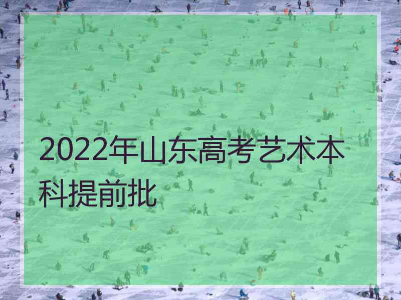 2022年山东高考艺术本科提前批