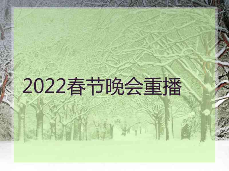 2022春节晚会重播