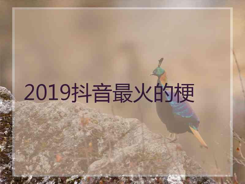 2019抖音最火的梗