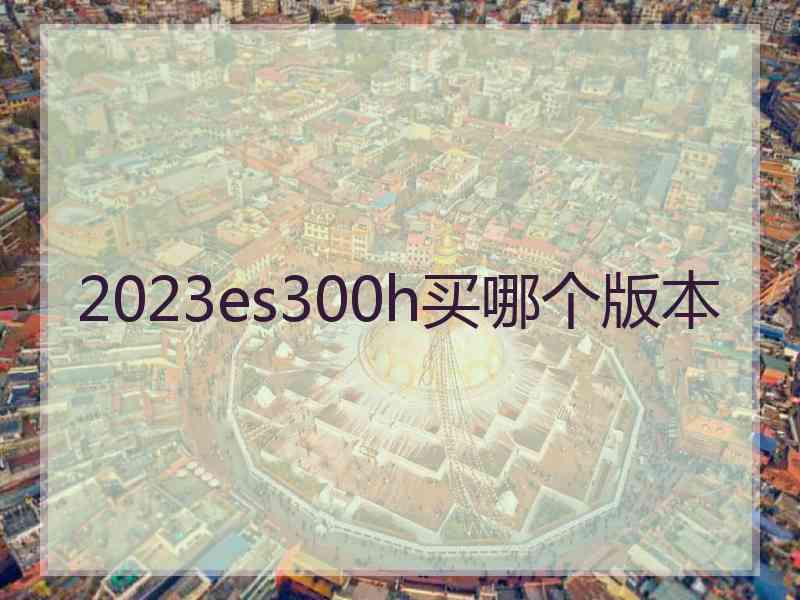 2023es300h买哪个版本