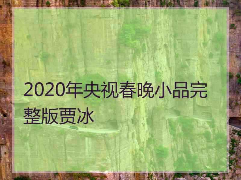 2020年央视春晚小品完整版贾冰