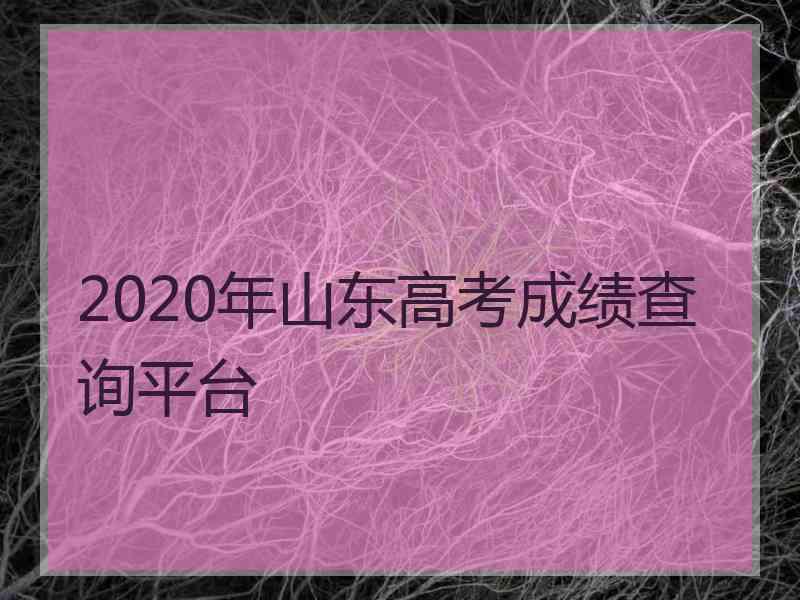 2020年山东高考成绩查询平台