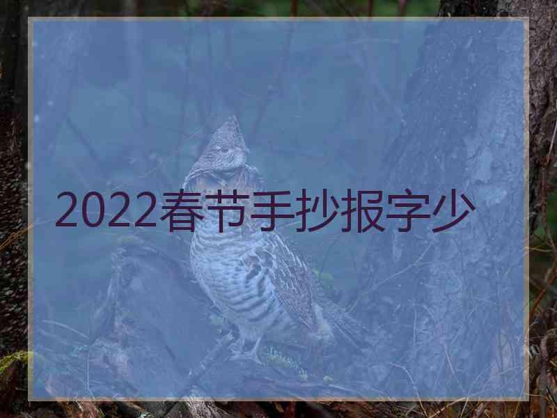 2022春节手抄报字少