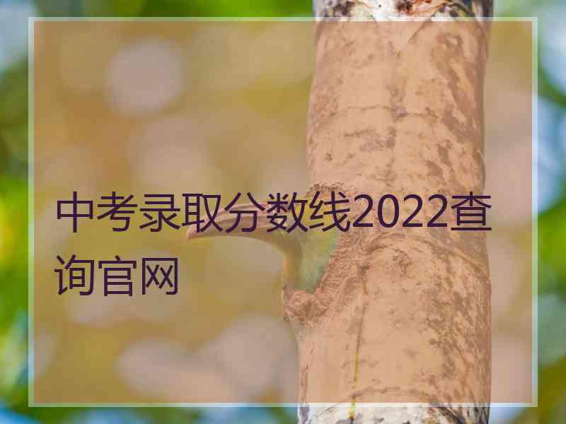 中考录取分数线2022查询官网