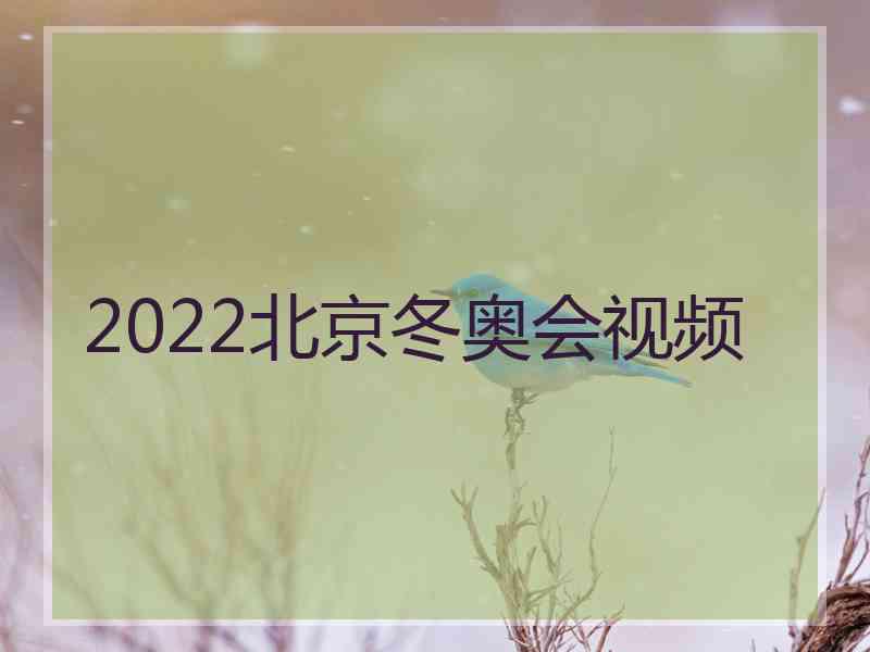 2022北京冬奥会视频