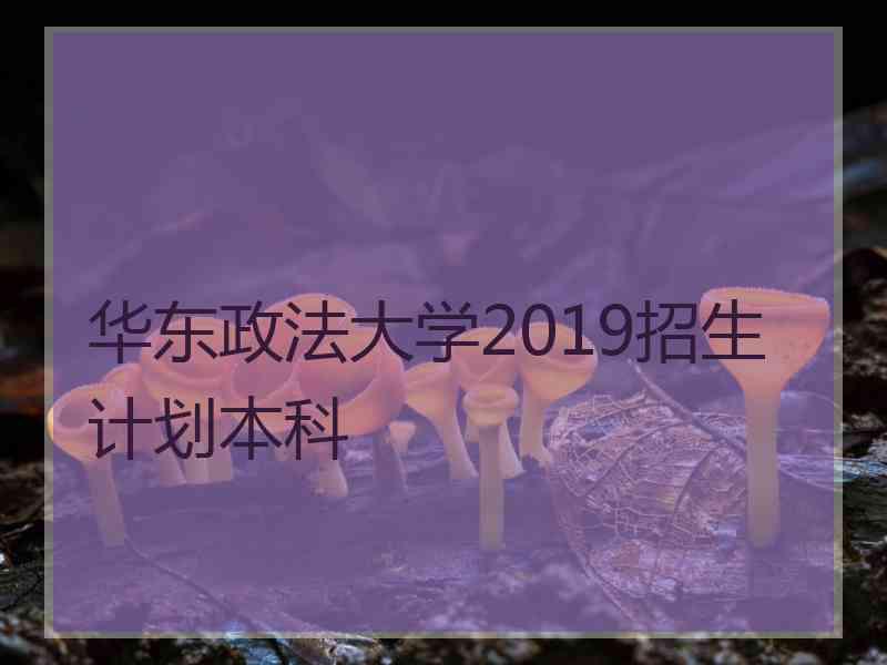 华东政法大学2019招生计划本科