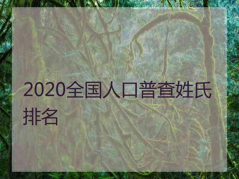 2020全国人口普查姓氏排名