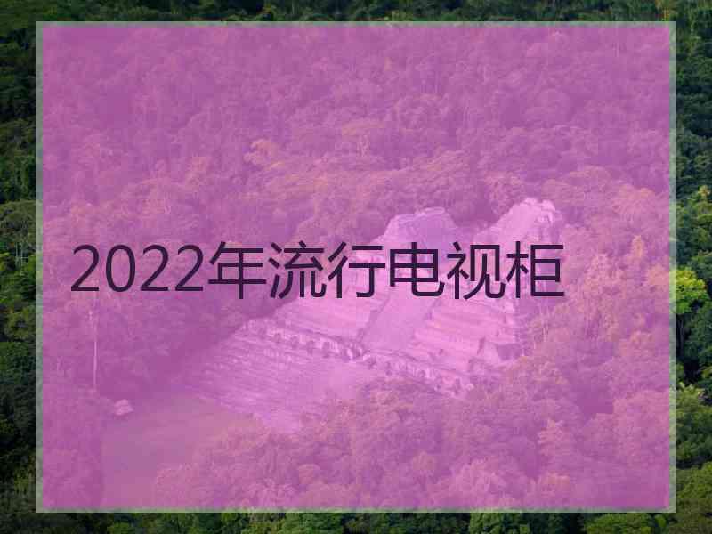 2022年流行电视柜