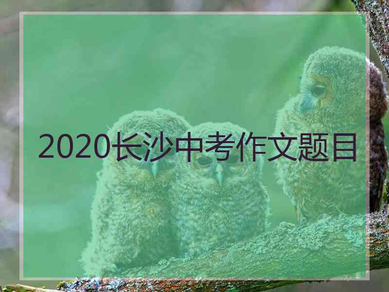 2020长沙中考作文题目