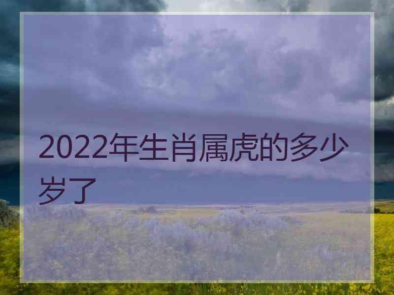 2022年生肖属虎的多少岁了