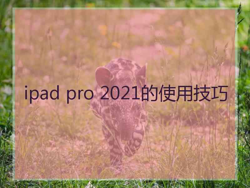 ipad pro 2021的使用技巧