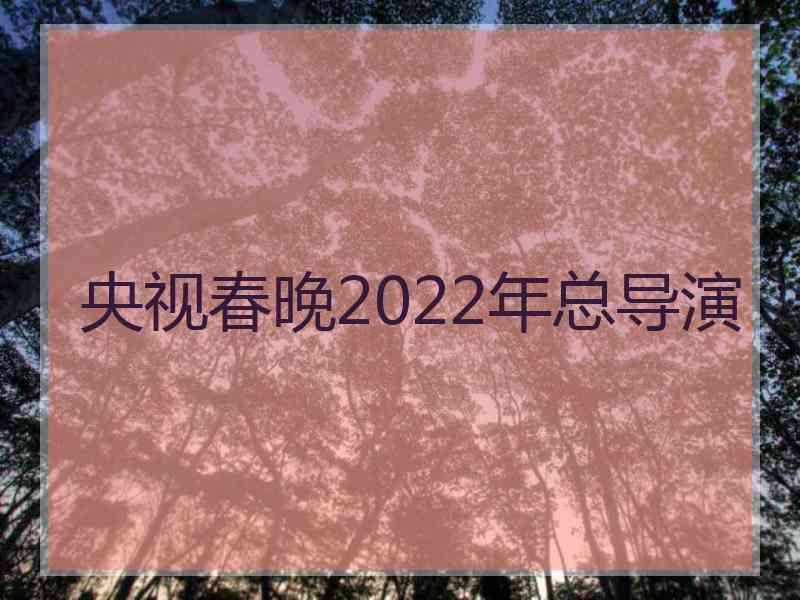 央视春晚2022年总导演