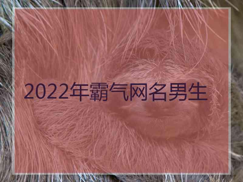 2022年霸气网名男生