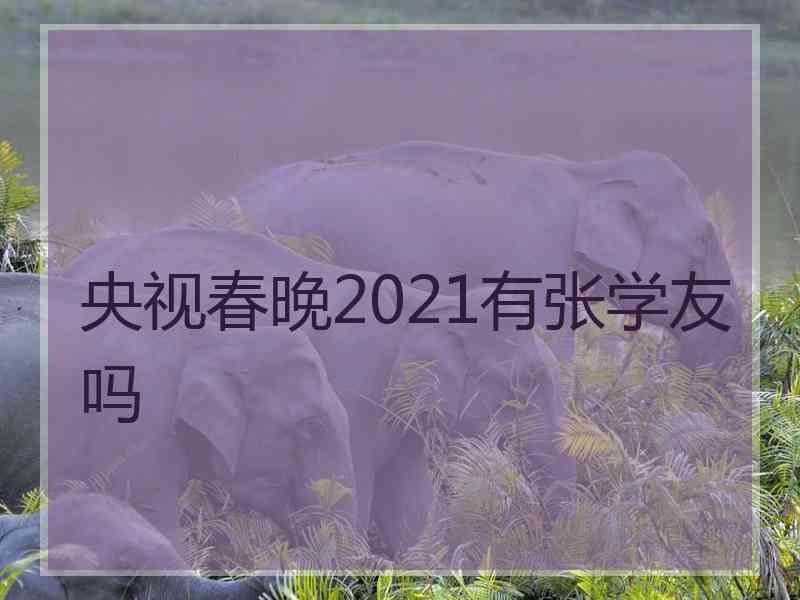 央视春晚2021有张学友吗