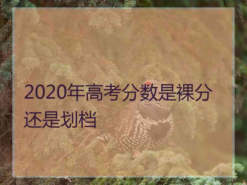 2020年高考分数是裸分还是划档