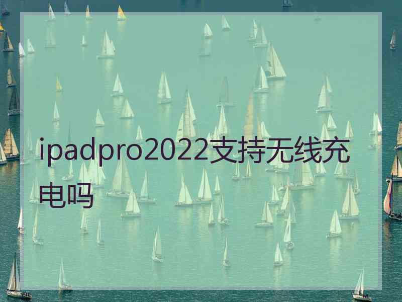 ipadpro2022支持无线充电吗