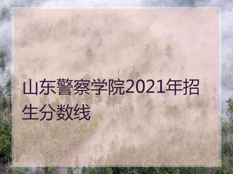 山东警察学院2021年招生分数线