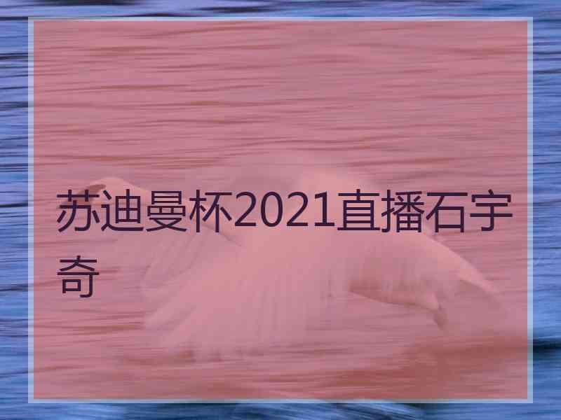 苏迪曼杯2021直播石宇奇