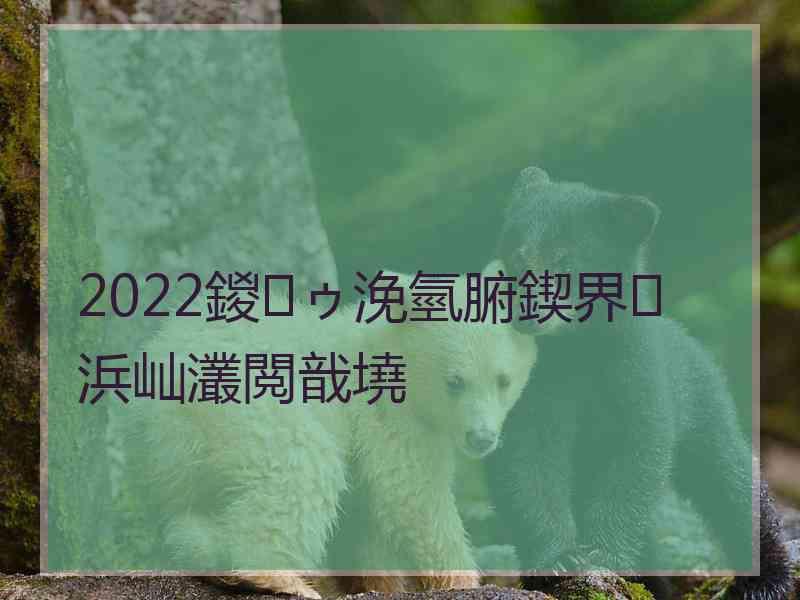 2022鍐ゥ浼氫腑鍥界浜屾灇閲戠墝