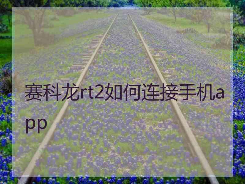 赛科龙rt2如何连接手机app