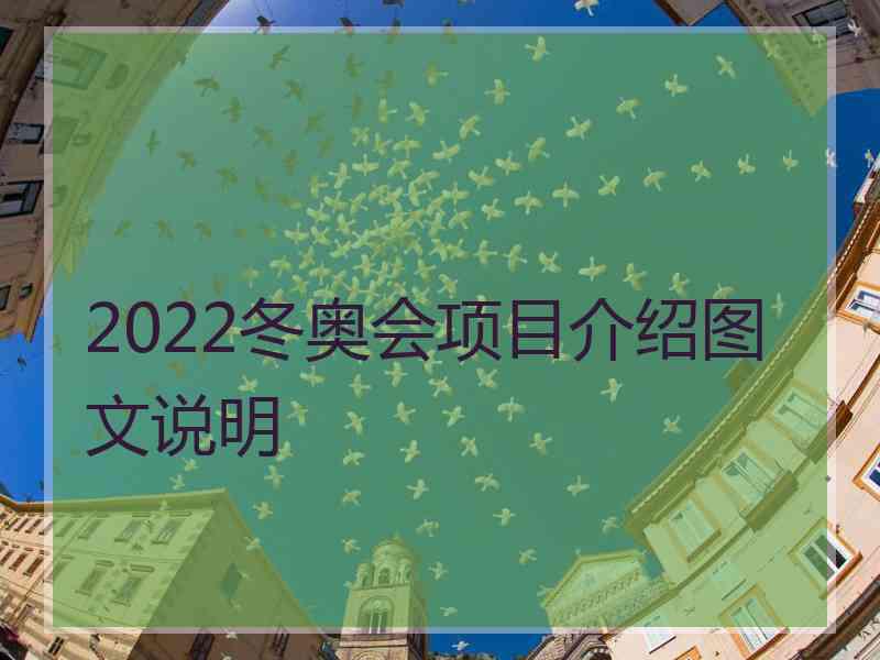 2022冬奥会项目介绍图文说明