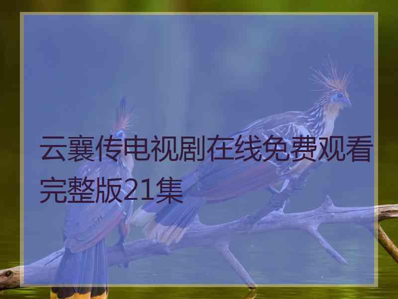 云襄传电视剧在线免费观看完整版21集