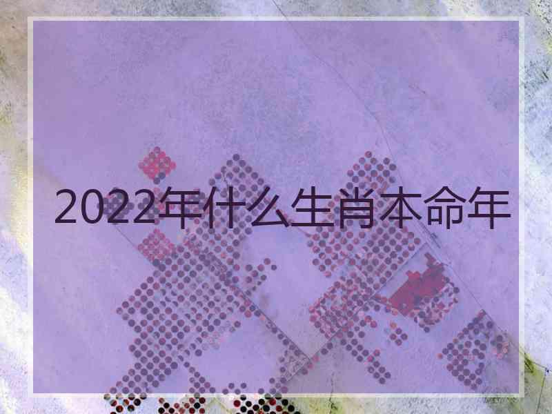 2022年什么生肖本命年