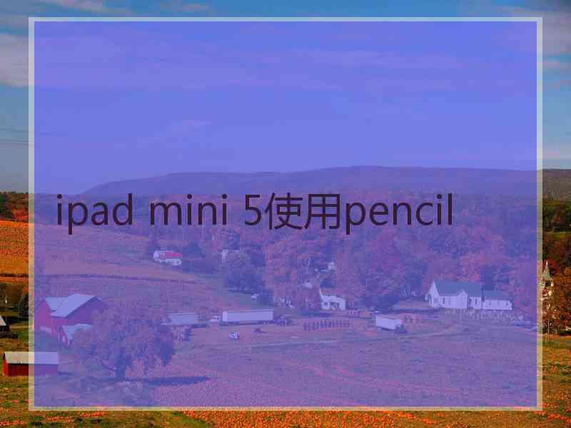 ipad mini 5使用pencil