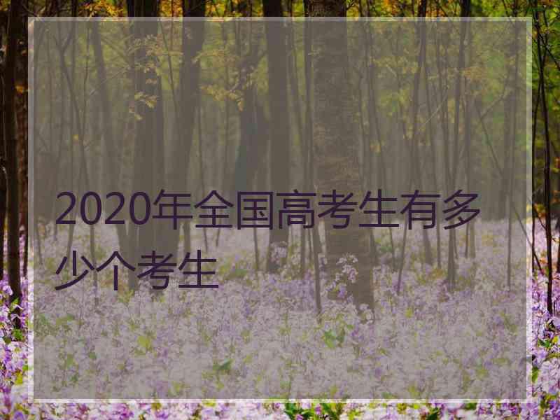 2020年全国高考生有多少个考生