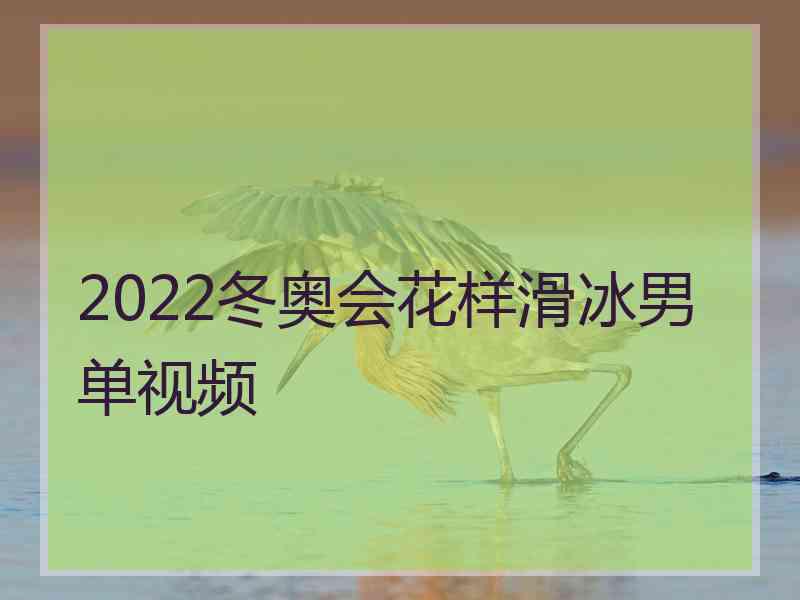 2022冬奥会花样滑冰男单视频