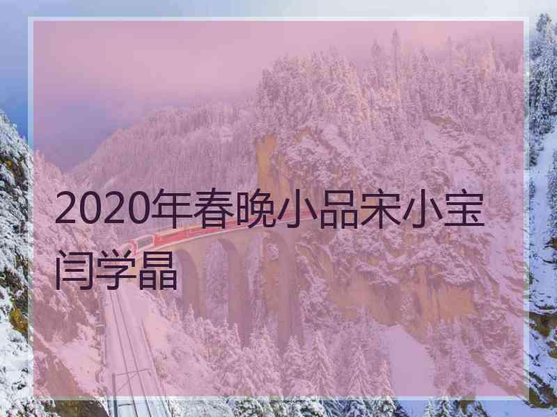 2020年春晚小品宋小宝闫学晶