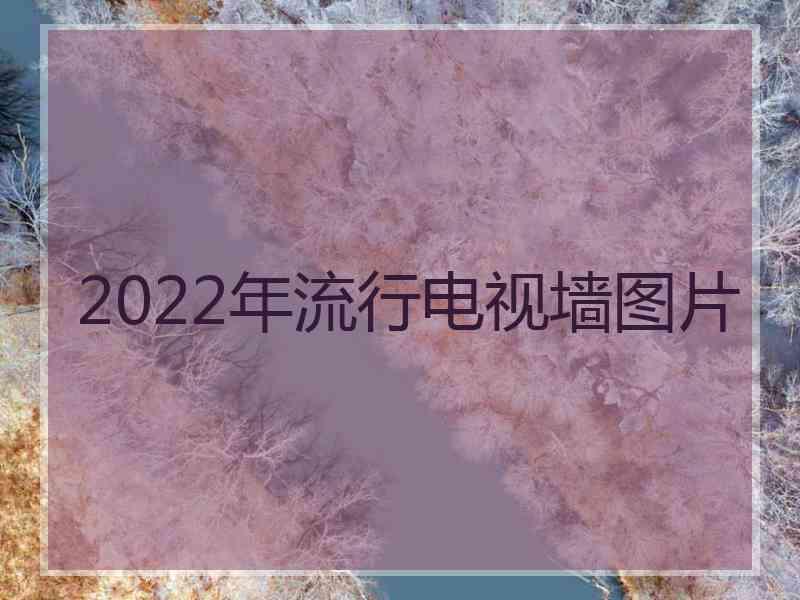 2022年流行电视墙图片