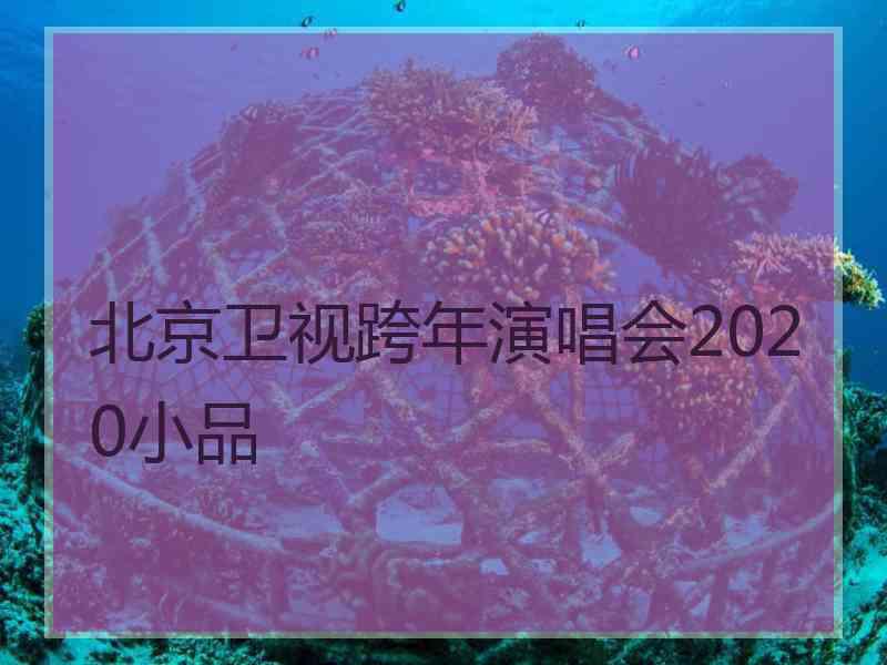 北京卫视跨年演唱会2020小品