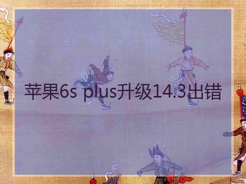 苹果6s plus升级14.3出错