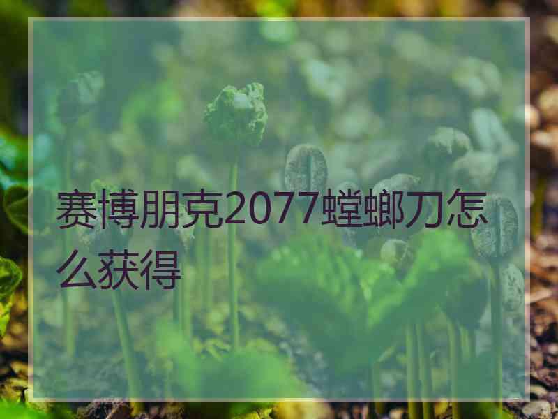 赛博朋克2077螳螂刀怎么获得